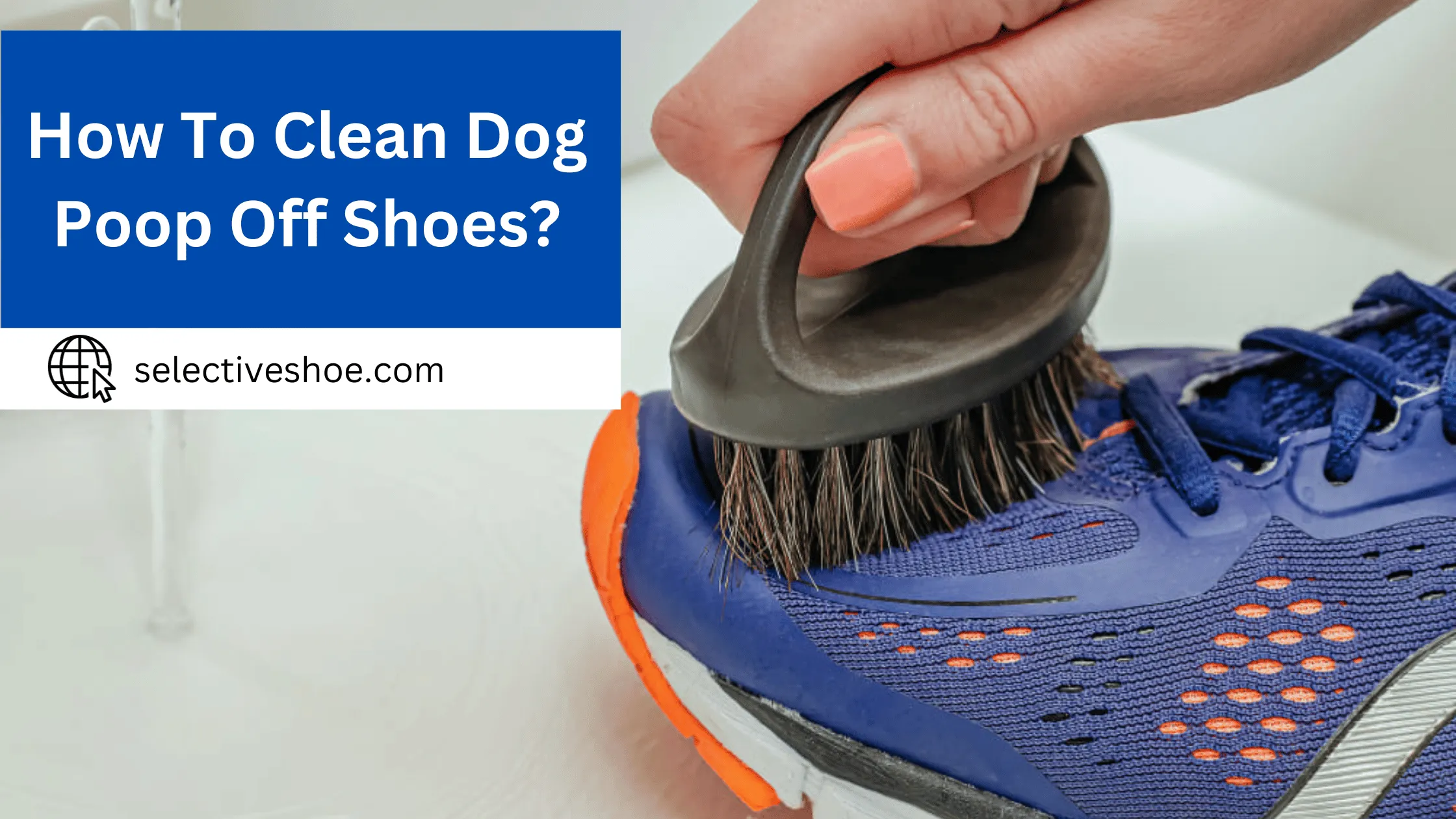 How To Clean Dog Poop Off Shoes? Effective And Easiest Guide