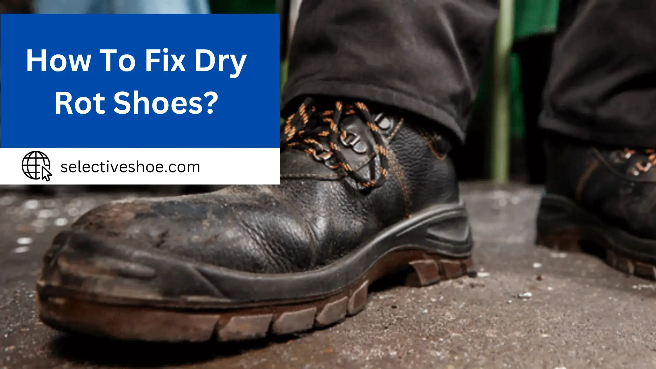 How To Fix Dry Rot Shoes? You Should Need To Know